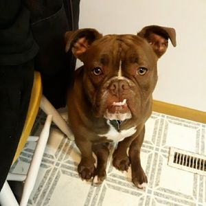 Meet your Posher, Sierra